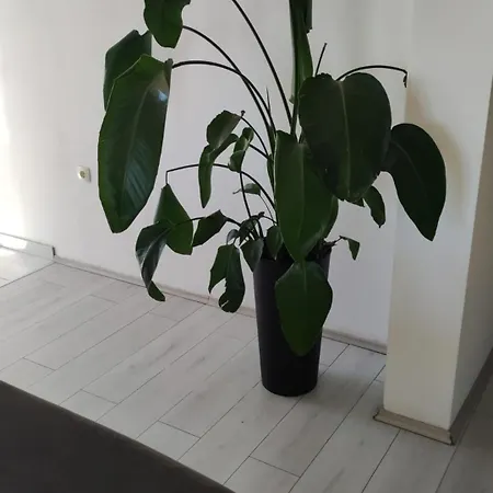 Apartment Destiny Kastela